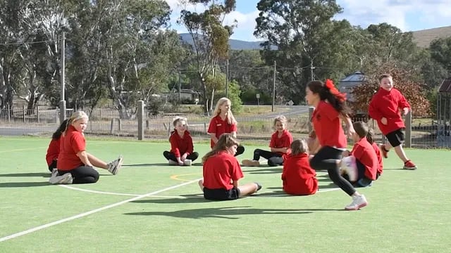 Amphitheatre Primary School