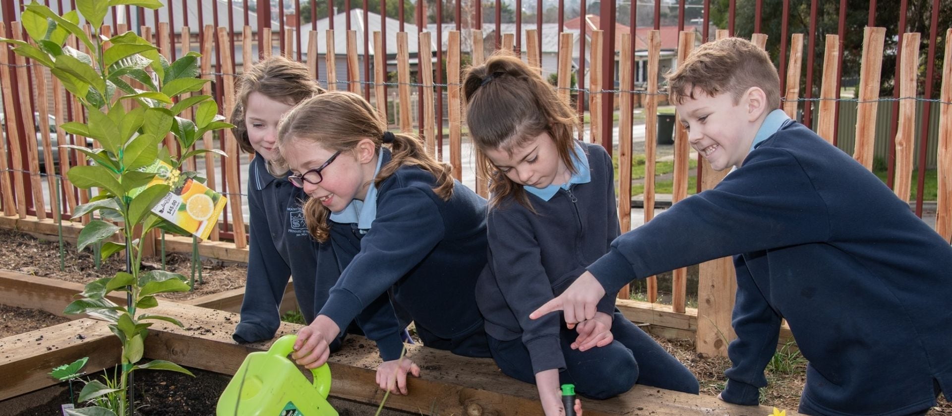 Mount Pleasant Primary School