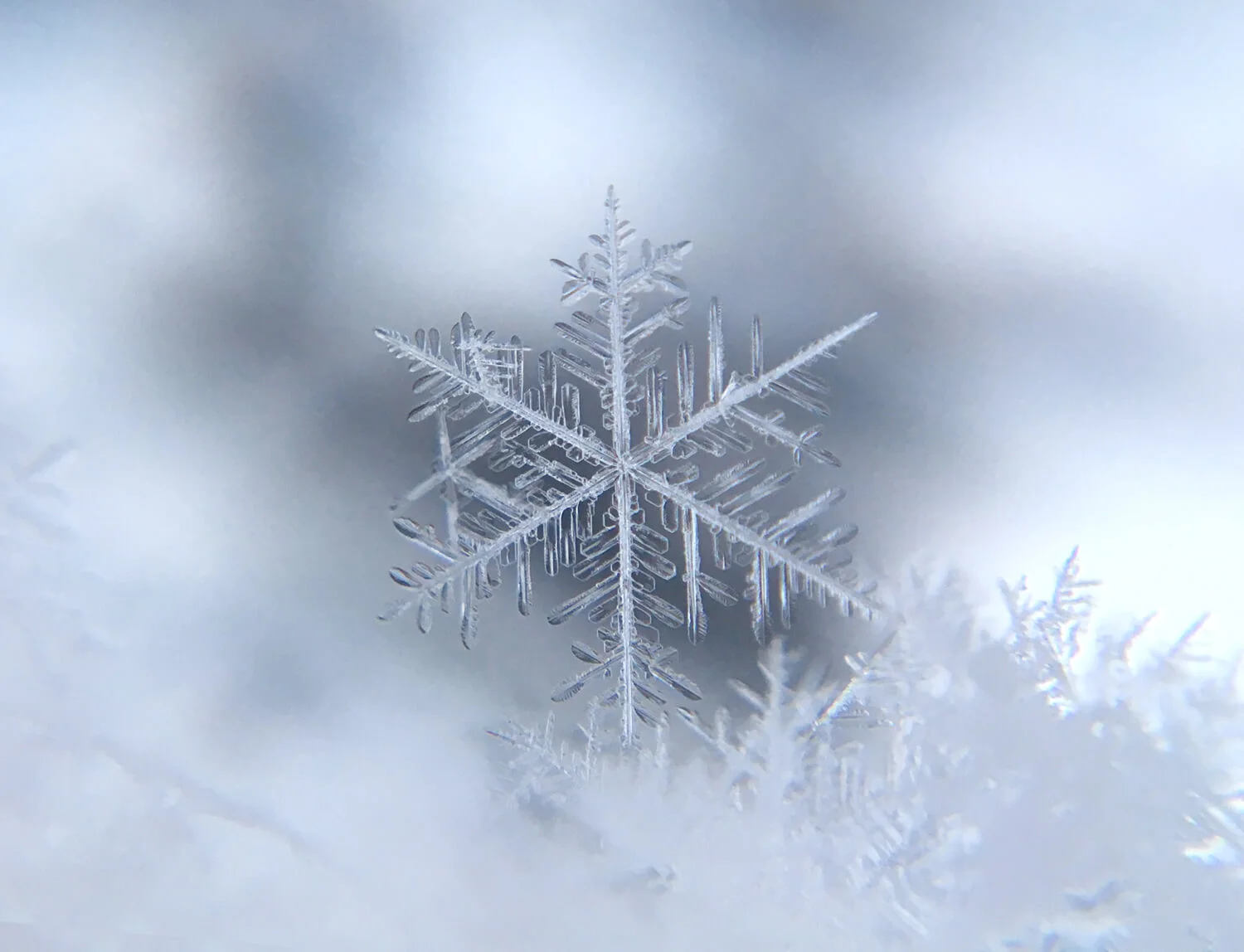 School Cancelled for Snow Day