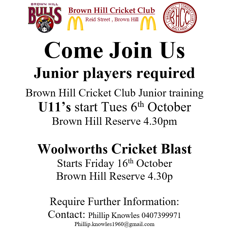 Cricket Players Wanted