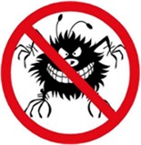 HEAD LICE