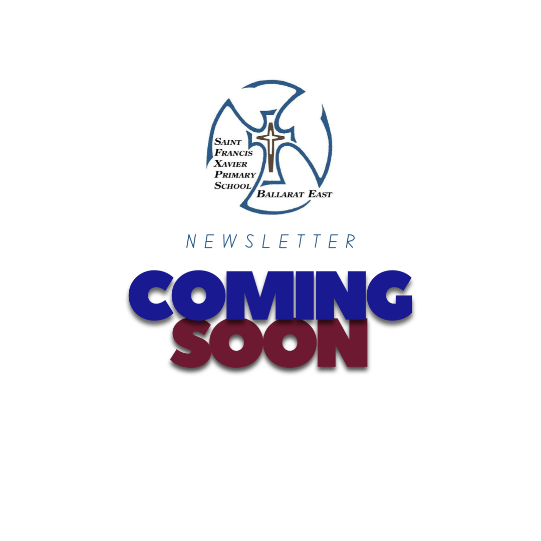 Welcome to our new Newsletter