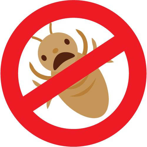 HEAD LICE