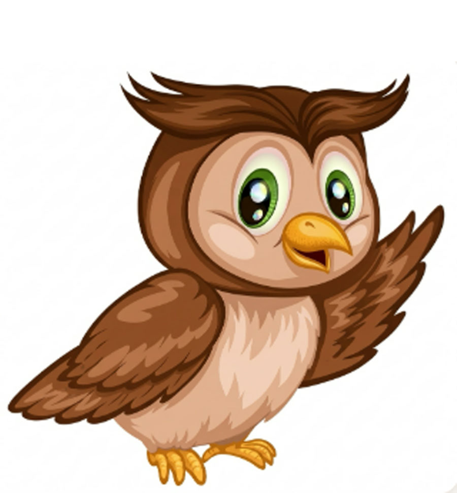 A quick "Chirp" from Ollie Owl