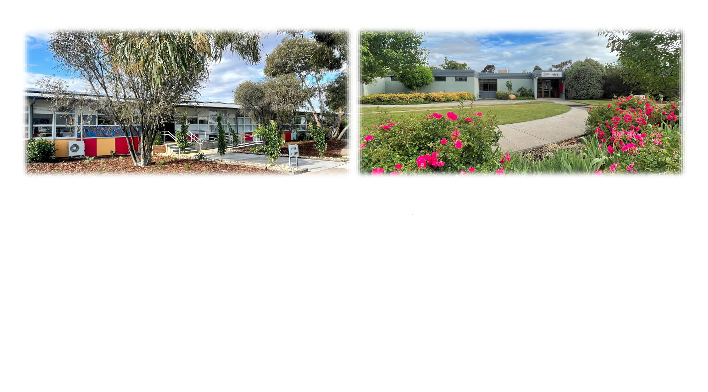 Horsham Primary School