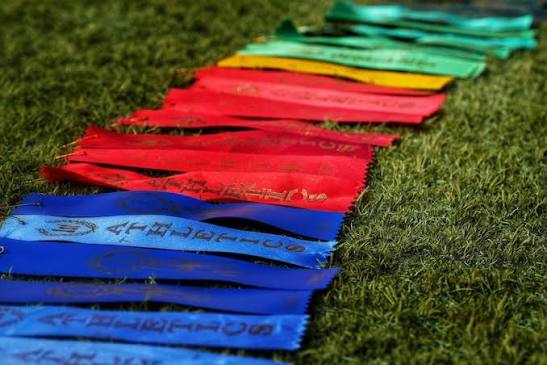 House Athletics Carnival: Get Your House Colours Ready!